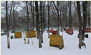 Тактическое поле