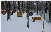 Тактическое поле