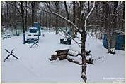 Тактическое поле